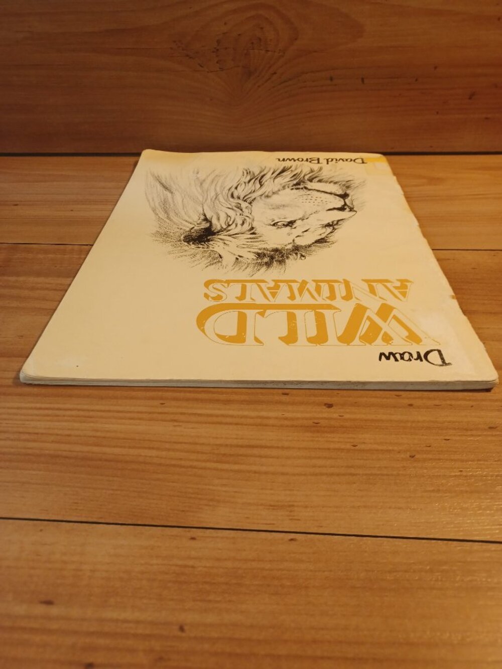 Draw Wild Animals Book - Picture 4 of 11